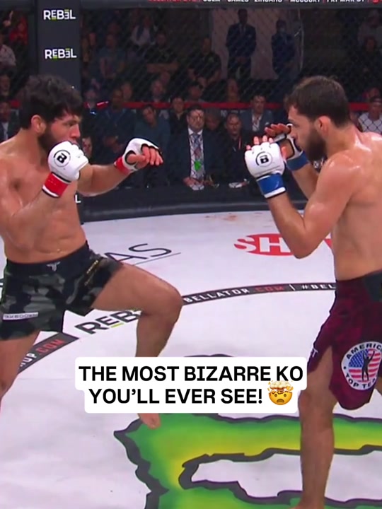 Was this the right call? Shabliy gets the TKO victory @PFL MMA