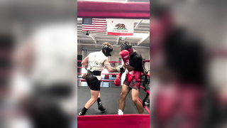 Spar Club. #boxing #boxingsavedmylife #proboxing #ltde #letthedogeat ...