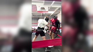 Spar Club. #boxing #boxingsavedmylife #proboxing #ltde #letthedogeat ...