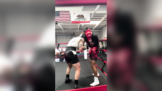Spar Club. #boxing #boxingsavedmylife #proboxing #ltde #letthedogeat ...