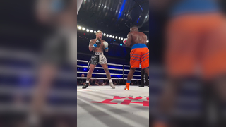 Profefessional boxer