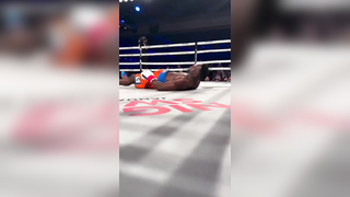 Profefessional boxer