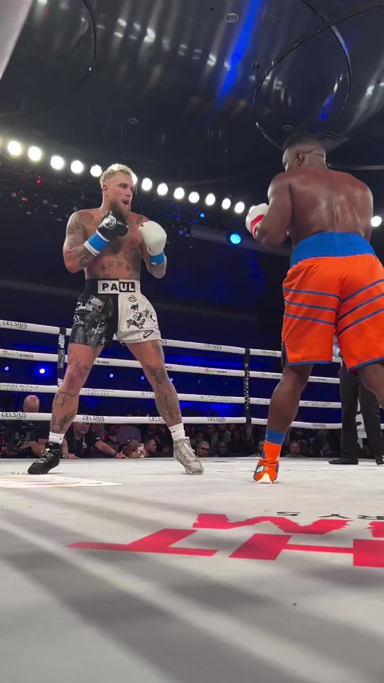 Profefessional boxer