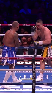 Usyk V. Wardley will HAPPEN #fyp #boxing #boxraw #edits #edit