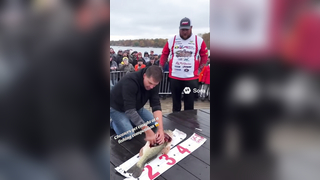 Cheaters Put Weights Into Fishing competition #trendingvideo #fyp ...