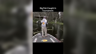 Good fish during a tournament #fishing #CapCut #fyp