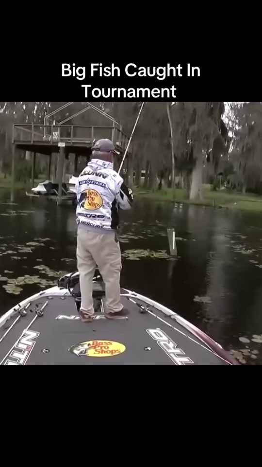 Good fish during a tournament #fishing #CapCut #fyp