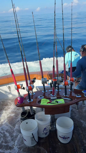 Pescadora Tournament 2025 On this day, i caught 16 sailfish & 2 mahi...