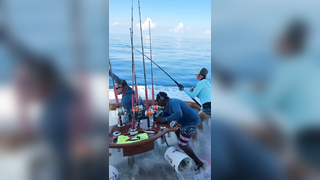 Pescadora Tournament 2025 On this day, i caught 16 sailfish & 2 mahi...