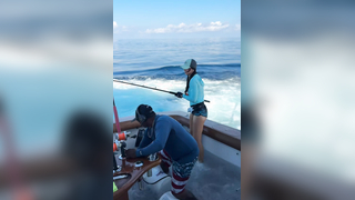 Pescadora Tournament 2025 On this day, i caught 16 sailfish & 2 mahi...