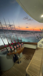 Tournament morningsss#fypシ #fyp #tournament #fishing #sailfish #vikin...