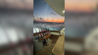 Tournament morningsss#fypシ #fyp #tournament #fishing #sailfish #vikin...