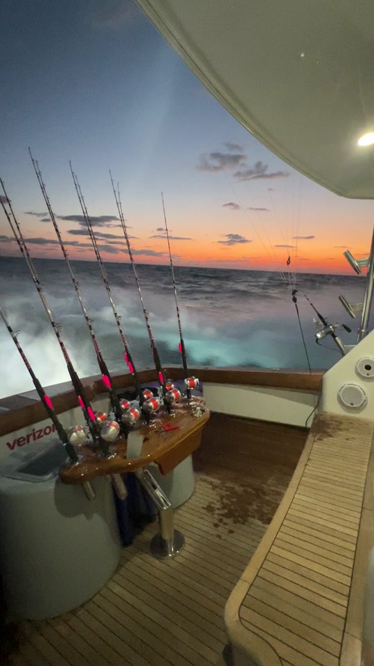 Tournament morningsss#fypシ #fyp #tournament #fishing #sailfish #vikin...