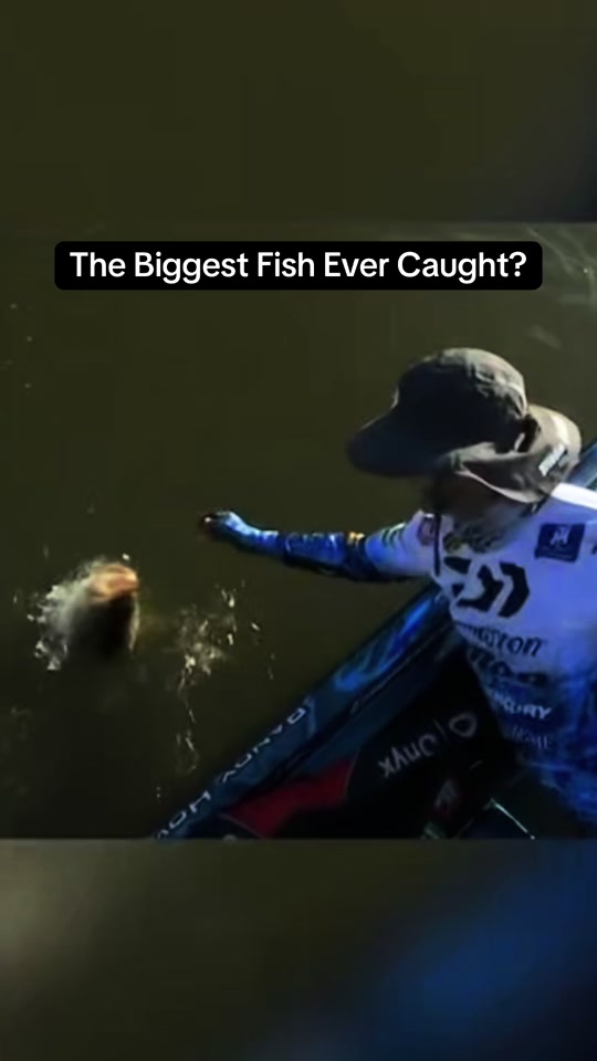 Lone of the biggest ever in competition.