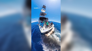 Who said fishing is not a Contact Sport? Amazing Marlin comes into th...