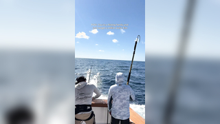 424lb black marlin in the @fishbisbees tournament! extremely proud...
