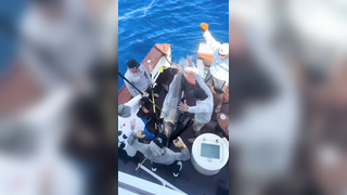 424lb black marlin in the @fishbisbees tournament! extremely proud...