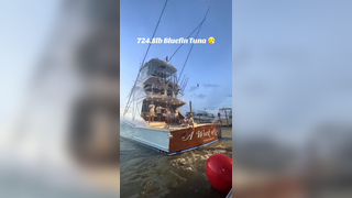 A Work of Art brought in a massive Bluefin Tuna at the 2024 OBBC! #...