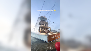 A Work of Art brought in a massive Bluefin Tuna at the 2024 OBBC! #...
