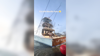 A Work of Art brought in a massive Bluefin Tuna at the 2024 OBBC! #...