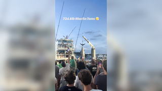 A Work of Art brought in a massive Bluefin Tuna at the 2024 OBBC! #...