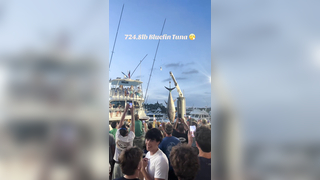 A Work of Art brought in a massive Bluefin Tuna at the 2024 OBBC! #...