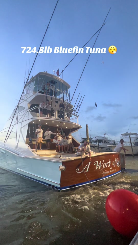 A Work of Art brought in a massive Bluefin Tuna at the 2024 OBBC! #...