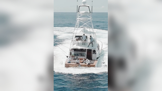 Bucket list item: capturing a blue marlin jumping at the Walkers Ca...