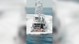 Bucket list item: capturing a blue marlin jumping at the Walkers Ca...