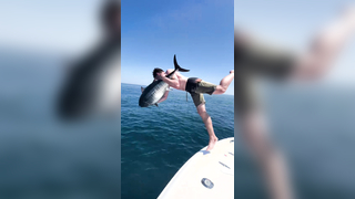 How to release a fish! #fishing #bluefintuna #fishingvideo