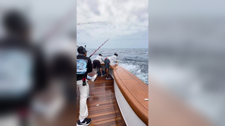 If you’ve never experienced a marlin release by an efficient team, he...
