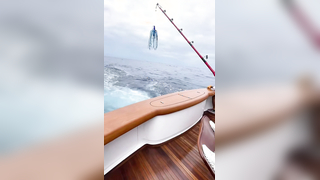 If you’ve never experienced a marlin release by an efficient team, he...