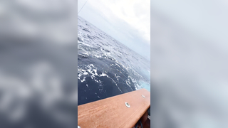 If you’ve never experienced a marlin release by an efficient team, he...