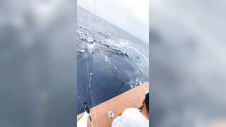 If you’ve never experienced a marlin release by an efficient team, he...