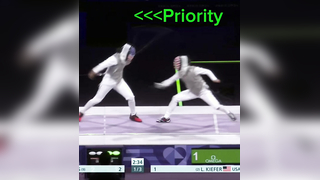 fencing