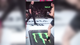 When fighting becomes ART Shara Magomedov with a flawless double s...