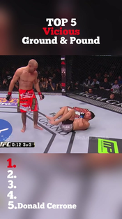 #top5 #groundandpound #ufc #mma #fyp