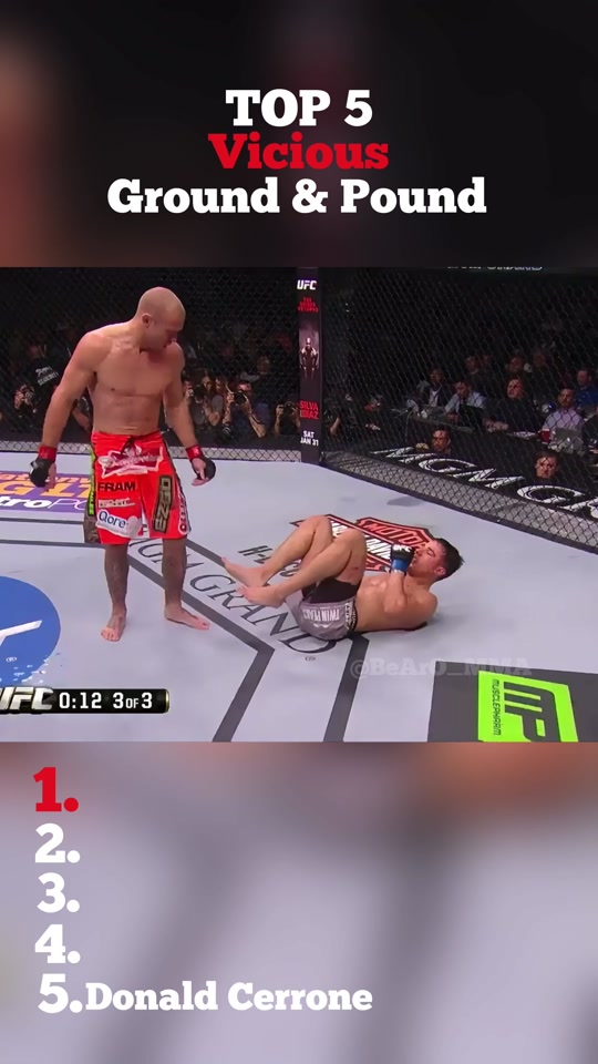 #top5 #groundandpound #ufc #mma #fyp