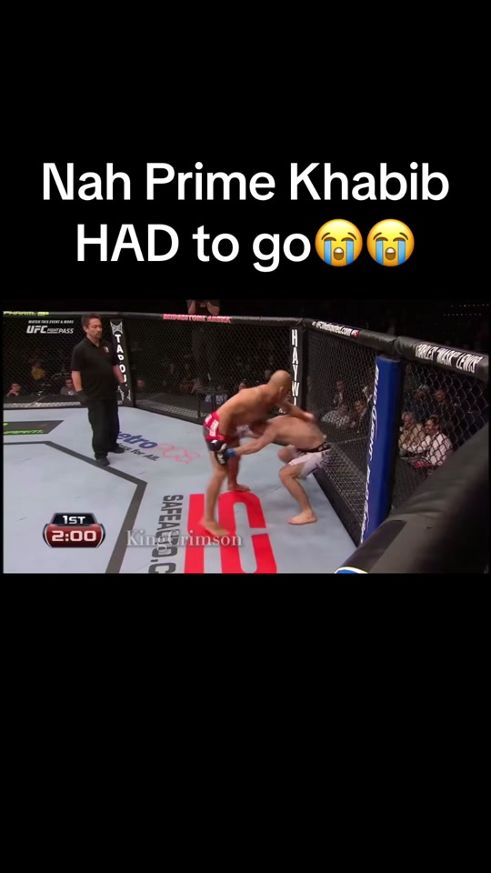 Khabib Nurmagomedov is a retired Russian mixed martial artist and for...