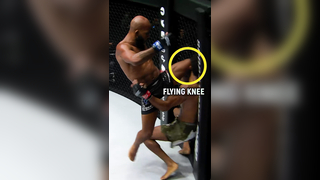 Demetrious Johnson Pulls Off The Greatest Knockout in MMA HISTORY! ...