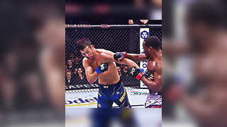 UFC GREATEST Knockuots Highlights HD #ufc #mma #knockout #highlights ...