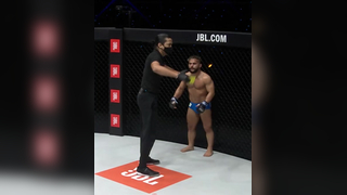 #mma #worldwide #fighter #champion #one