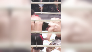 mma