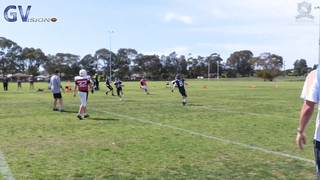 Gridiron Victoria Play of the Day Week 9