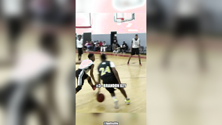 Top 10 CROSSOVERS and ANKLE BREAKERS of All-Time! #fyp #anklebreaker