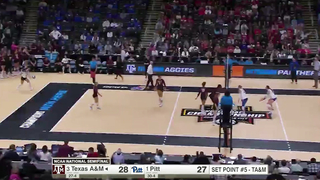 Texas A&M Battles Pitt in 2025 NCAA Volleyball Semifinal