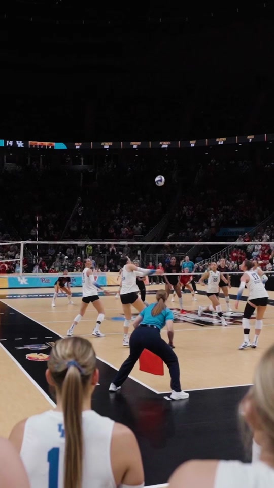 all heart @Kentucky Volleyball #NCAAWVB #ncaavolleyball #kentucky #...