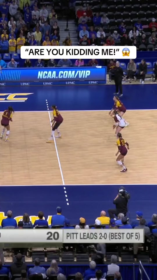 These saves from Pitt @ACCNetwork #vball #volleyball #pitt #ncaa