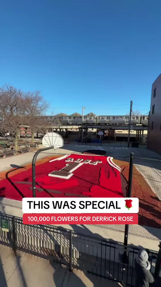 This was special 100,000 flowers for one Derrick Rose at Clybourn P...