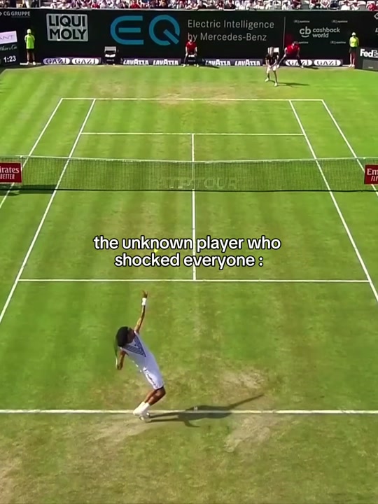 He beat Nadal. #dustinbrown #tennis #tweener #trickshot